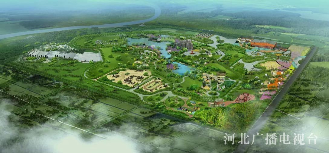 鹤壁市儿童健康教育基地暨“五小”筛查基地揭牌