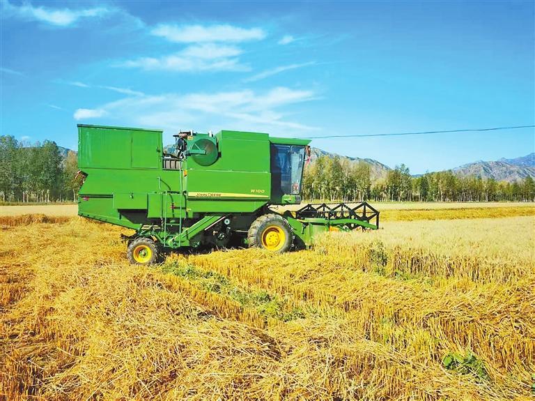 陇原大地庆丰收 田畴沃野绘新景-新华网