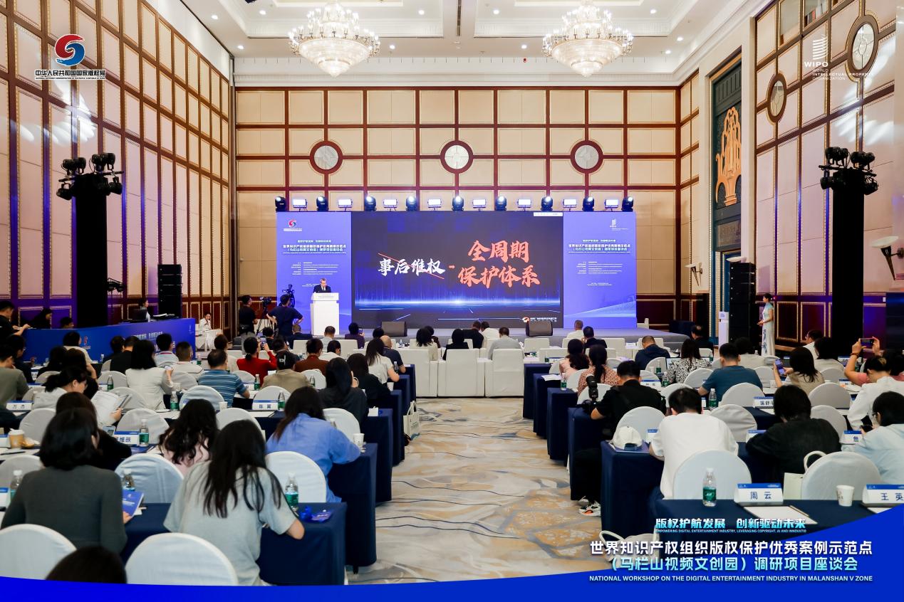 世界知识产权组织版权保护优秀案例示范点（马栏山视频文创园）项目座谈会在长沙举行