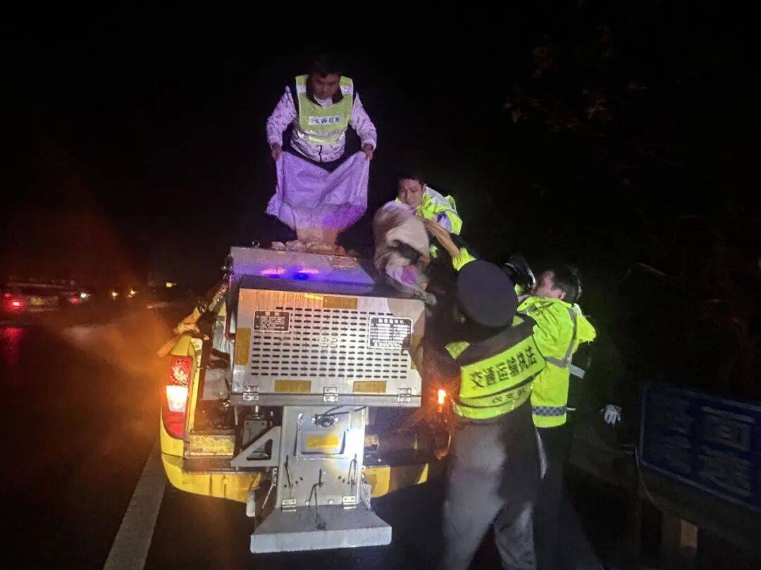 以“雪”为令！市交通运输部门全力保障出行安全与道路畅通